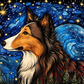 Starry Night Collie
