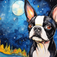 Stargazing Boston Terrier