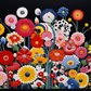 Blooming Vibrant Bouquet