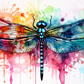 Colorful Watercolor Dragonfly