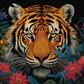 Gazing Tiger  Diamond Painting Kits