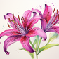 Purple Watercolor Lilies  Diamond Painting Kits