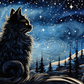 Black Cat Starry Night  Diamond Painting Kits