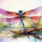 Dragonfly Adventure