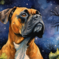 Watercolor Starry Night Boxer