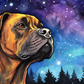 Starry Night Boxer
