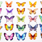 Watercolor Butterfly Collection  Diamond Painting Kits