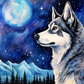 Full  Moon Siberian Husky