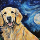 Starry Night Golden Retriever