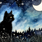Sad Black Cat Starry Night  Diamond Painting Kits