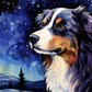 Watercolor Stargazing Australian