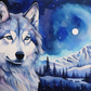 Siberian Husky Starry Night