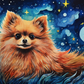 Pomeranian And Starry Night