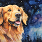 Stargazing Golden Retriever