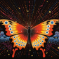 Seller Butterfly   Diamond Painting Kits