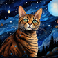 Stargazing Bengal Kitty  Diamond Painting Kits