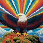Colorful Eagle Fantasy