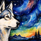 Beautiful Starry Night Siberian Husky  Diamond Painting Kits