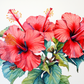 Pretty Watercolor Hibiscus