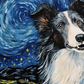 Stargazing Collie