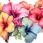 Multicolor Bundle Of Hibiscus