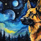 Stargazing German Shepard