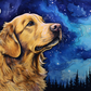 Sweet Stargazing Golden Retriever