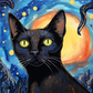 Black Siamese Cat On A Starry Night  Diamond Painting Kits