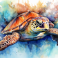 Beautiful And Calm Sea Turtle