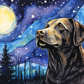 Dark Labrador On A Starry Night