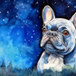 Starry Night French Bulldog