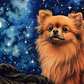 Starry Night Pomeranian