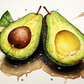 Fresh Avocado