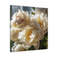 Soft White Peonies In Warm Light - Large Wall Art