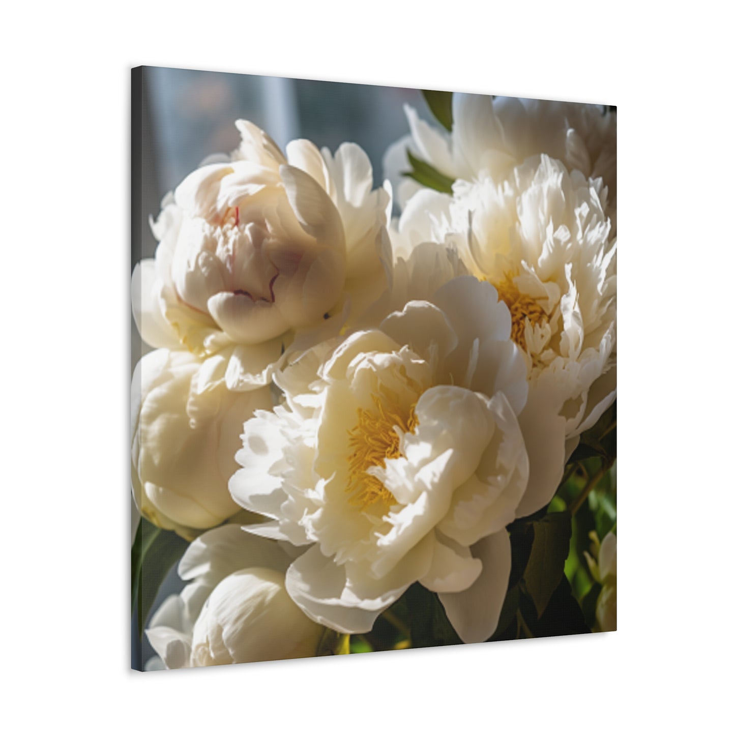 Soft White Peonies In Warm Light - Large Wall Art