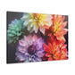 5 Different Dahlia Flowers - Large Wall Art