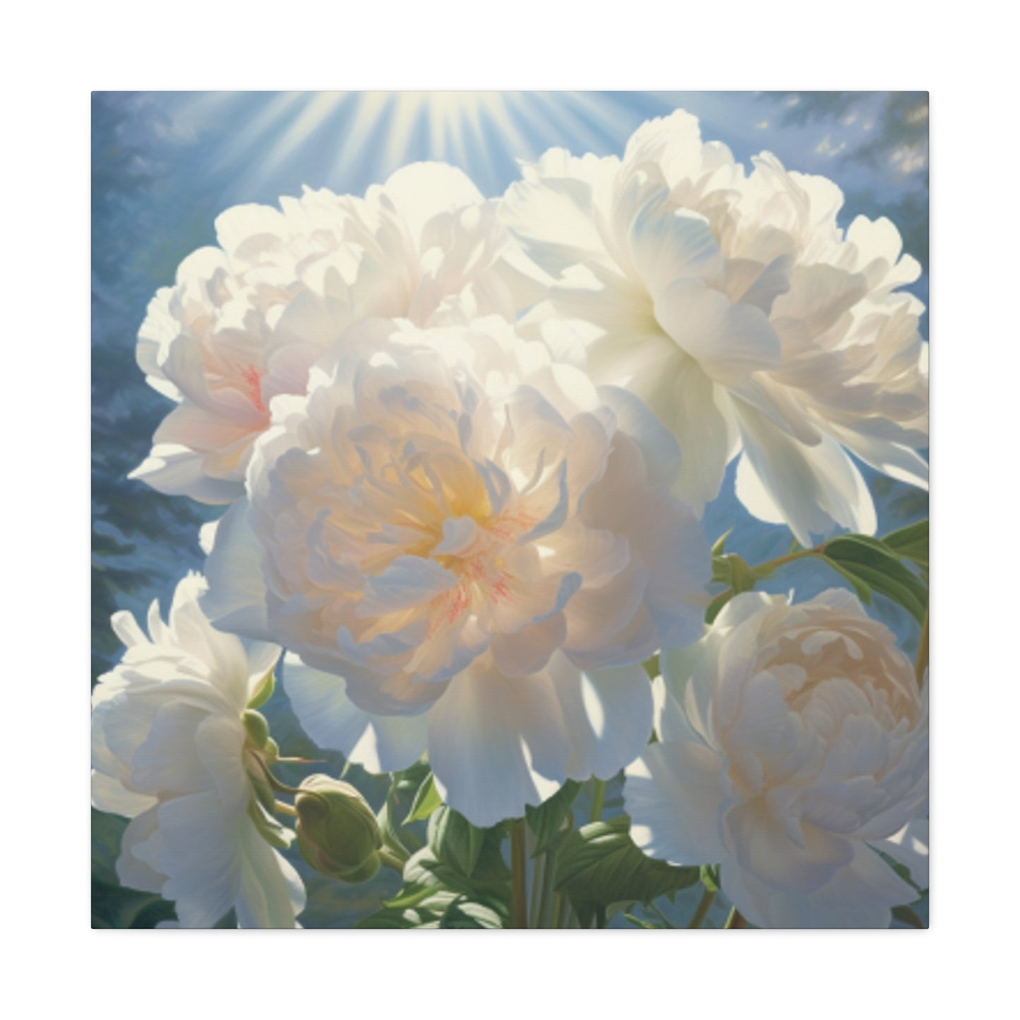 Blooming White Peonies In The Sun- Large Wall Art