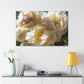 Soft White Peonies In Warm Light - Large Wall Art