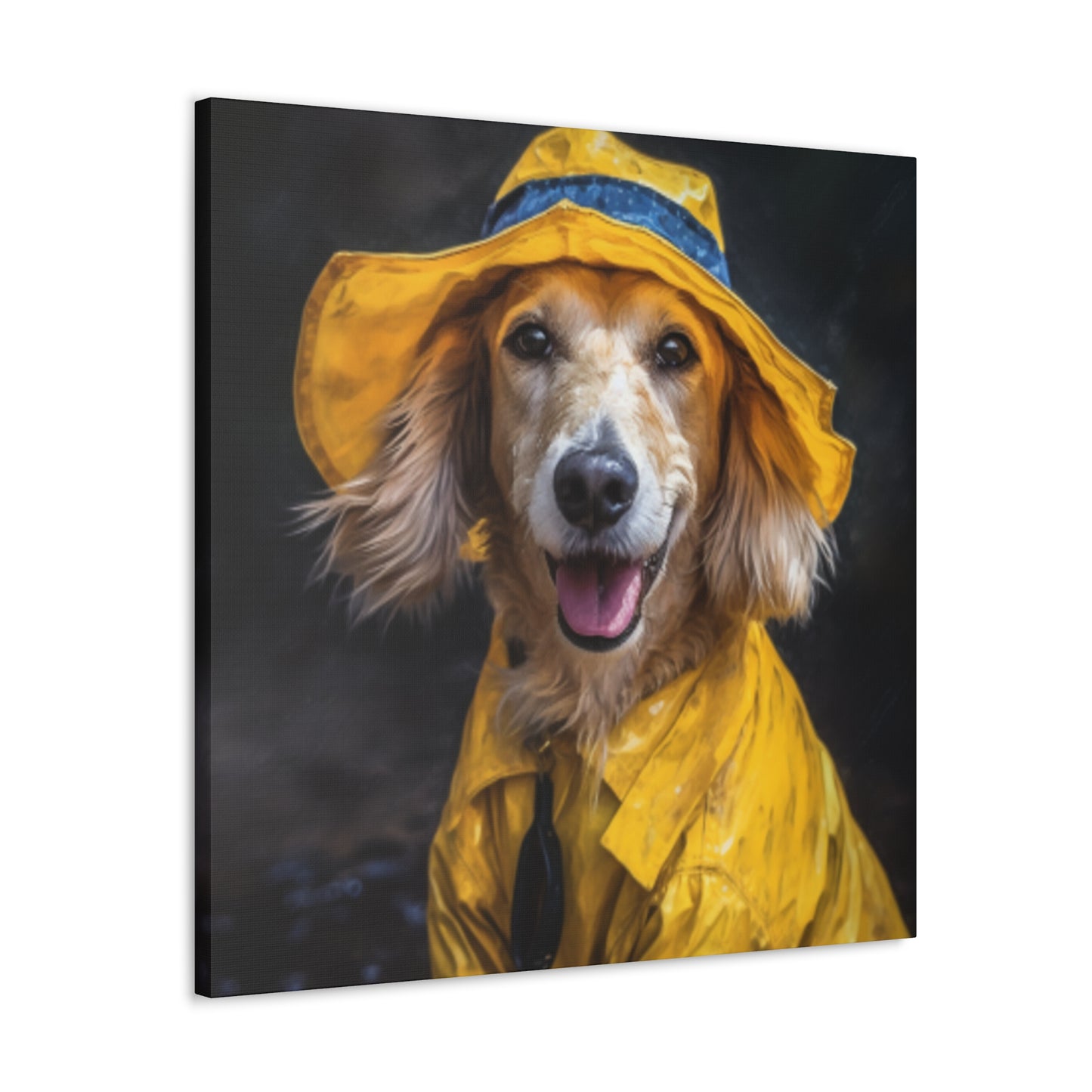 Dachshund Ready To Play In The Rain - Large Wall Art