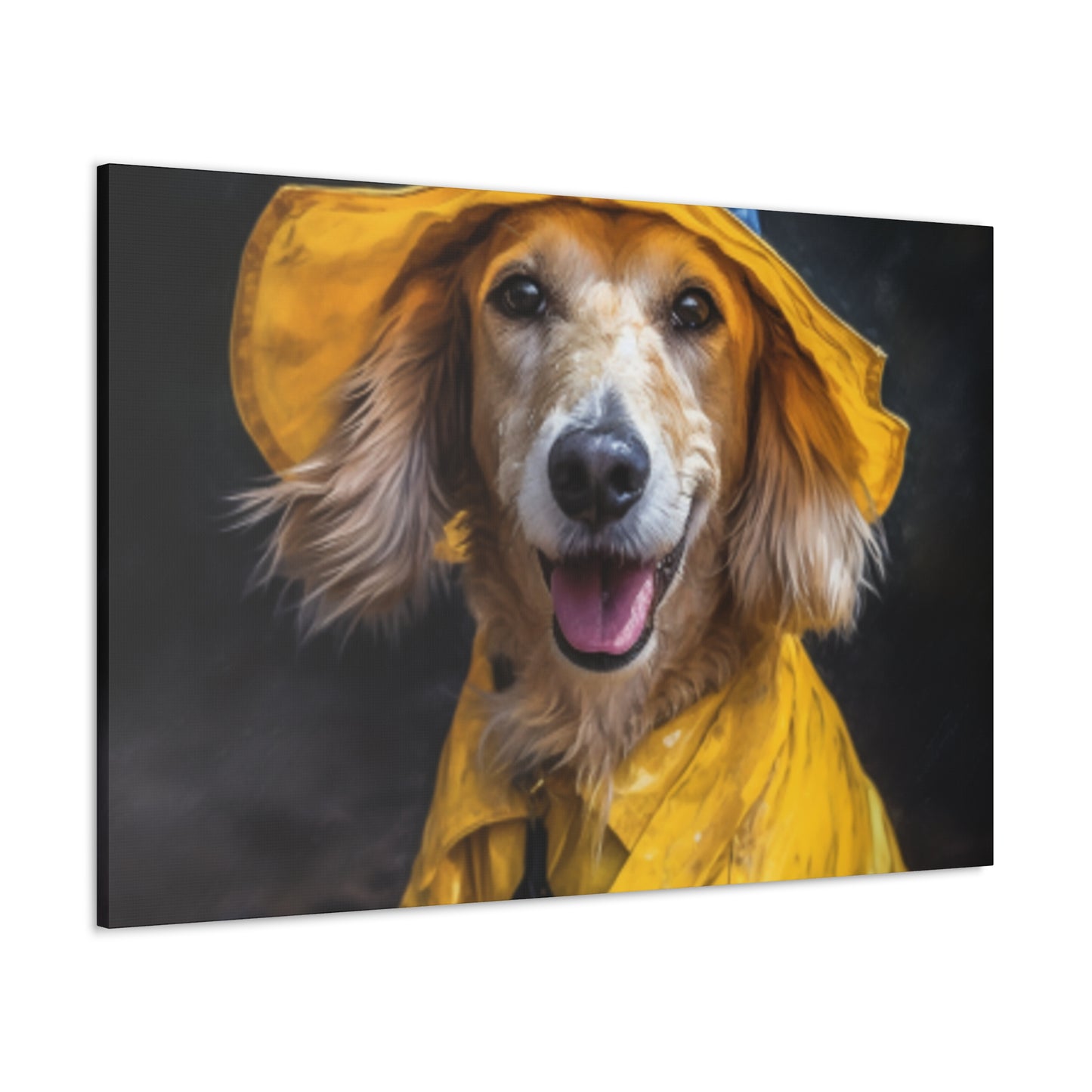 Dachshund Ready To Play In The Rain - Large Wall Art