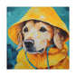 Golden Retriever Ready For The Rain - Large Wall Art