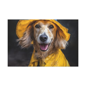 Dachshund Ready To Play In The Rain - Large Wall Art