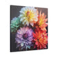 5 Different Dahlia Flowers - Large Wall Art