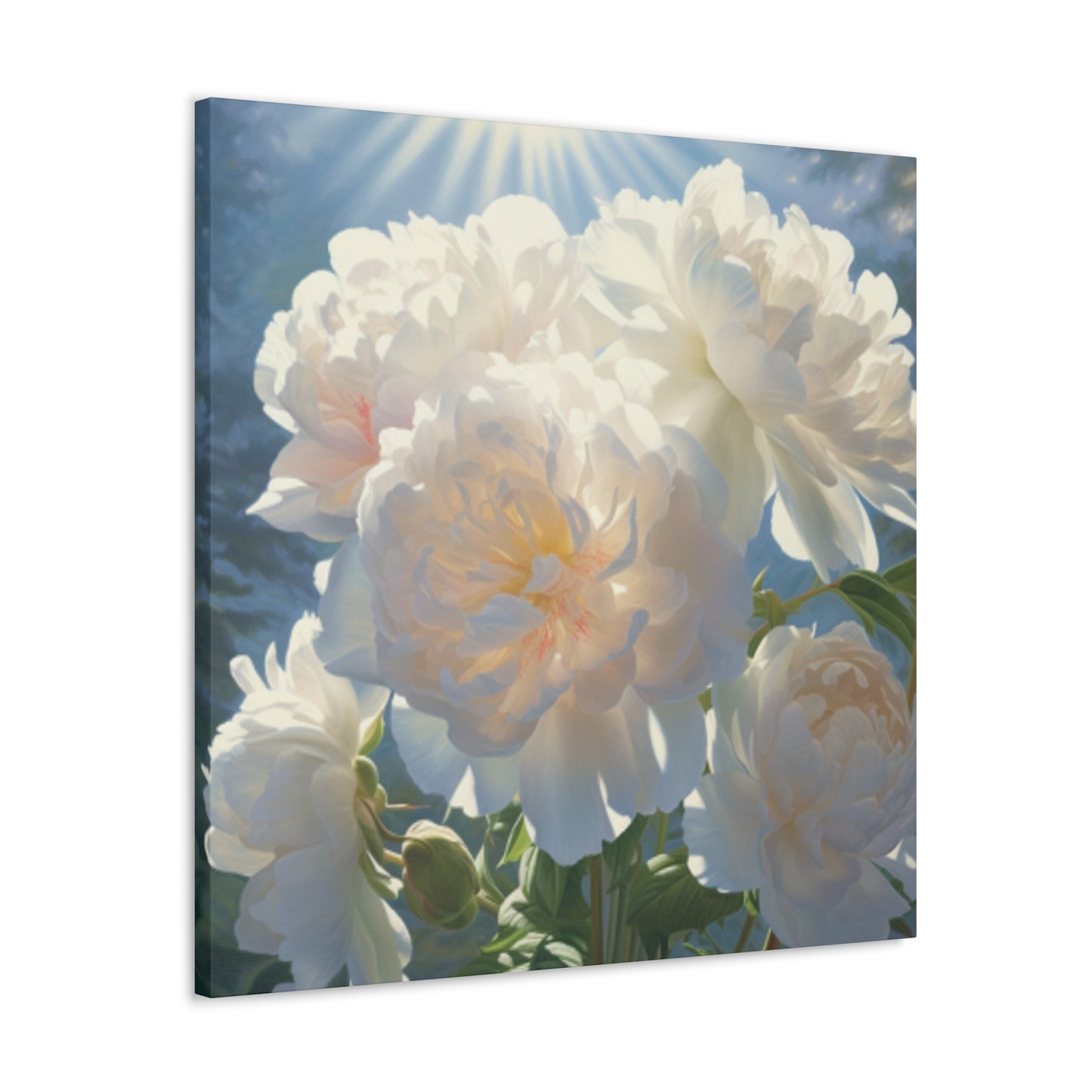 Blooming White Peonies In The Sun- Large Wall Art